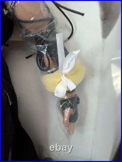 17 Tonner Doll Prince Of Persia Sands Of Time Prince Dastan Gylenhaal NRFB