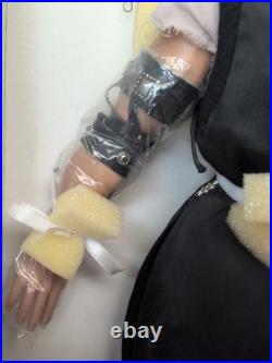 17 Tonner Doll Prince Of Persia Sands Of Time Prince Dastan Gylenhaal NRFB
