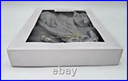 2013 Tonner Re-imagination Sleeping Beauty Outfit Le 200 & Box T13rtof06 No Doll