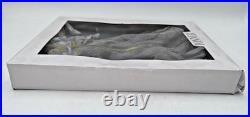 2013 Tonner Re-imagination Sleeping Beauty Outfit Le 200 & Box T13rtof06 No Doll
