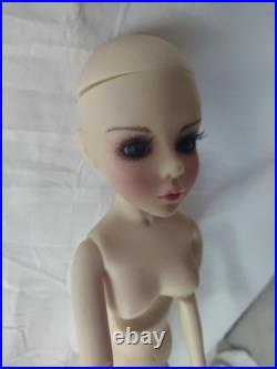 Ann Estelle Robert Tonner 16 BJD Doll WithShoes Monique Wig Schoolgirl Plaid