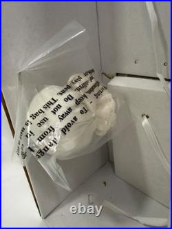 Robert Tonner American Model Victorian Romance 22 Doll with Box Complete Outfit