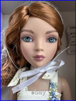TONNER VDC VIRTUAL DOLL CONVENTION ELLOWYNE WILDE Wigged BABY DOLL BASIC RED NIB