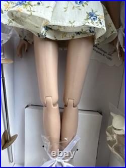 TONNER VDC VIRTUAL DOLL CONVENTION ELLOWYNE WILDE Wigged BABY DOLL BASIC RED NIB