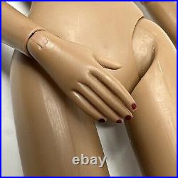 Tonner Diane Evans Hollywood Glamour 16 Tyler Wentworth Fashion Doll AA Nude