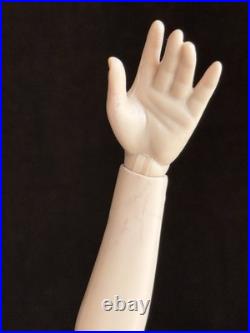 Tonner Ellowyne Wilde Feeling Drained Fashion Doll Box + Outfit and Accessories