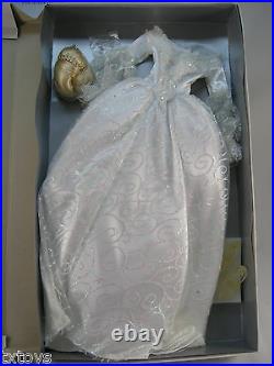 Tonner Glass Slipper 22 Doll Outfit American Model Cinderella Includes Wig