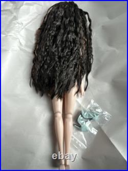Tonner Tyler ANTOINETTE 2010 CAMI BASIC BRUNETTE 16 FASHION DOLL + Outfit LE Tonner Tyler ANTOINETTE 2010 CAMI BASIC BRUNETTE 16 FASHION DOLL + Outfit LE