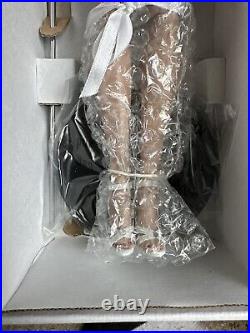 Tonner Tyler Wentworth 2003 Collection BATHING BEAUTY BRENDA STARR 16 Doll NRFB Tonner Tyler Wentworth 2003 Collection BATHING BEAUTY BRENDA STARR 16 Doll NRFB