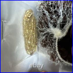 Tonner Tyler Wentworth 2004 Collection AMBER GLOW ESME 16 Dressed Fashion Doll Tonner Tyler Wentworth 2004 Collection AMBER GLOW ESME 16 Dressed Fashion Doll