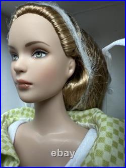 Tonner Tyler Wentworth 2006 Collection CHECK THIS OUT! 16 Dressed Fashion Doll